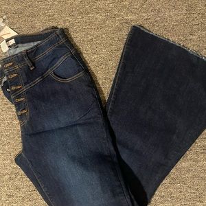 Ashley Stewart Jeans